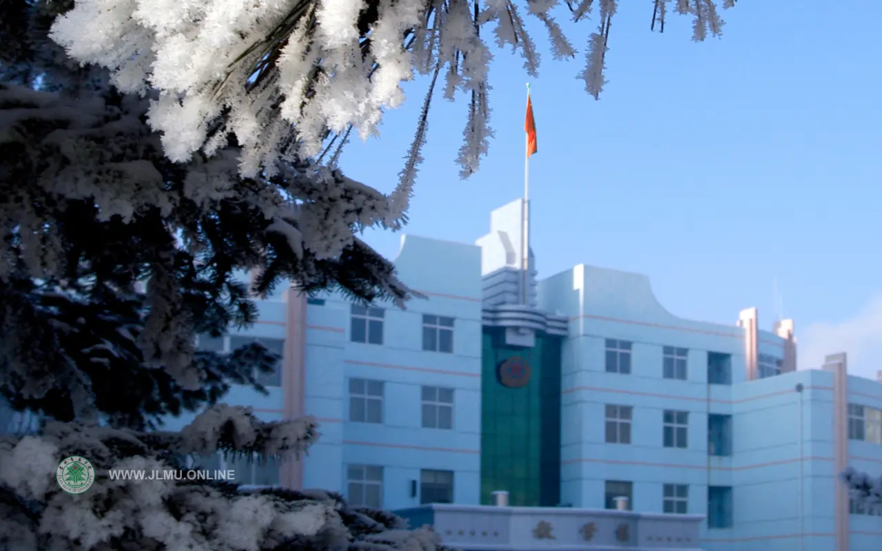 Summer in Jilin